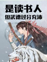 是读书人，但武德过分充沛封面