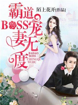 霸道BOSS宠妻无度封面