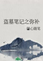 盗墓笔记之弥补封面