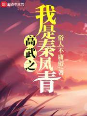 高武之我是秦凤青封面