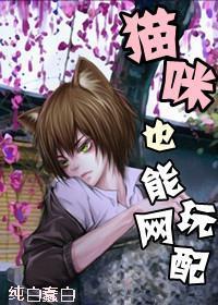 猫咪也能玩网配封面
