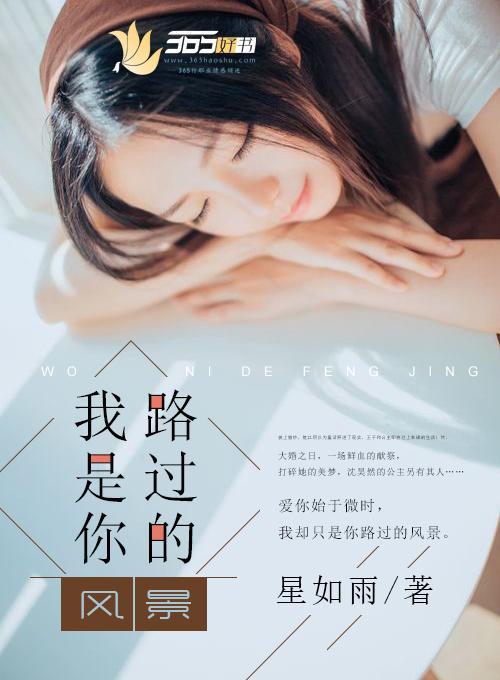 我是你路过的风景封面