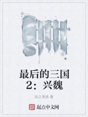 最后的三国2兴魏封面