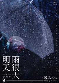 明天雨很大封面
