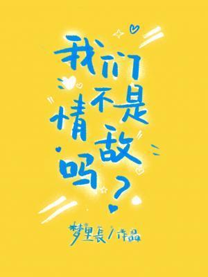 我们不是情敌吗封面