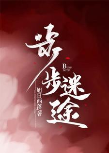 步步迷途封面
