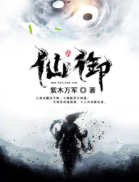 仙御封面