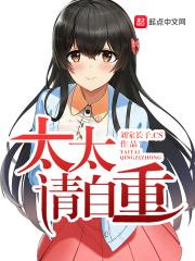 太太请自重封面