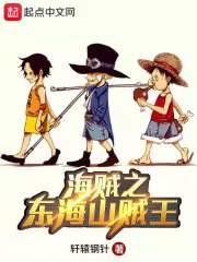 海贼之东海山贼王封面
