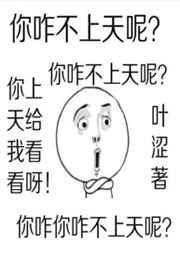 你咋不上天呢？封面