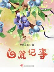 白麓记事封面
