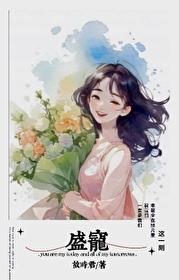 盛宠封面