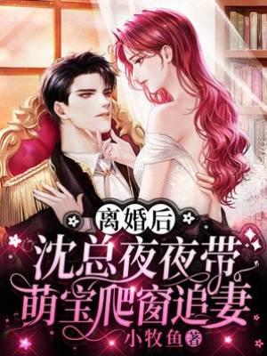 离婚后，沈总夜夜带萌宝爬窗追妻封面