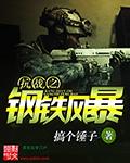 抗战之钢铁风暴封面