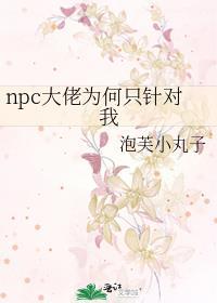 npc大佬为何只针对我封面