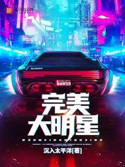完美大明星封面
