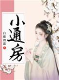 通房宠婢封面