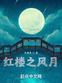 红楼之风月封面