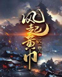 风起黄巾封面