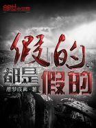 假的丶都是假的封面
