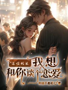 这位机长，我想和你谈个恋爱封面