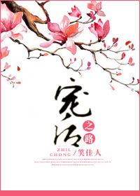 十夜灯宠后之路封面