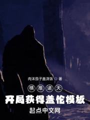 横推诸天：开局获得盖伦模板封面