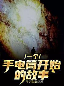 一个手电筒开始的故事封面