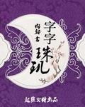 字字珠玑封面