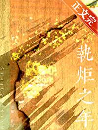 执炬之年封面