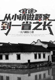 官途：从小镇做题家到一省之长封面