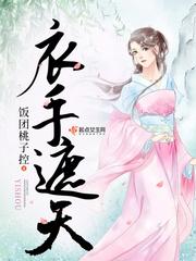 衣手遮天封面