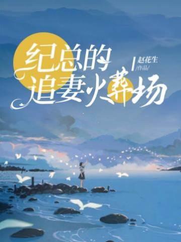 纪总的追妻火葬场封面