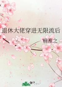 退休大佬穿进无限流后封面