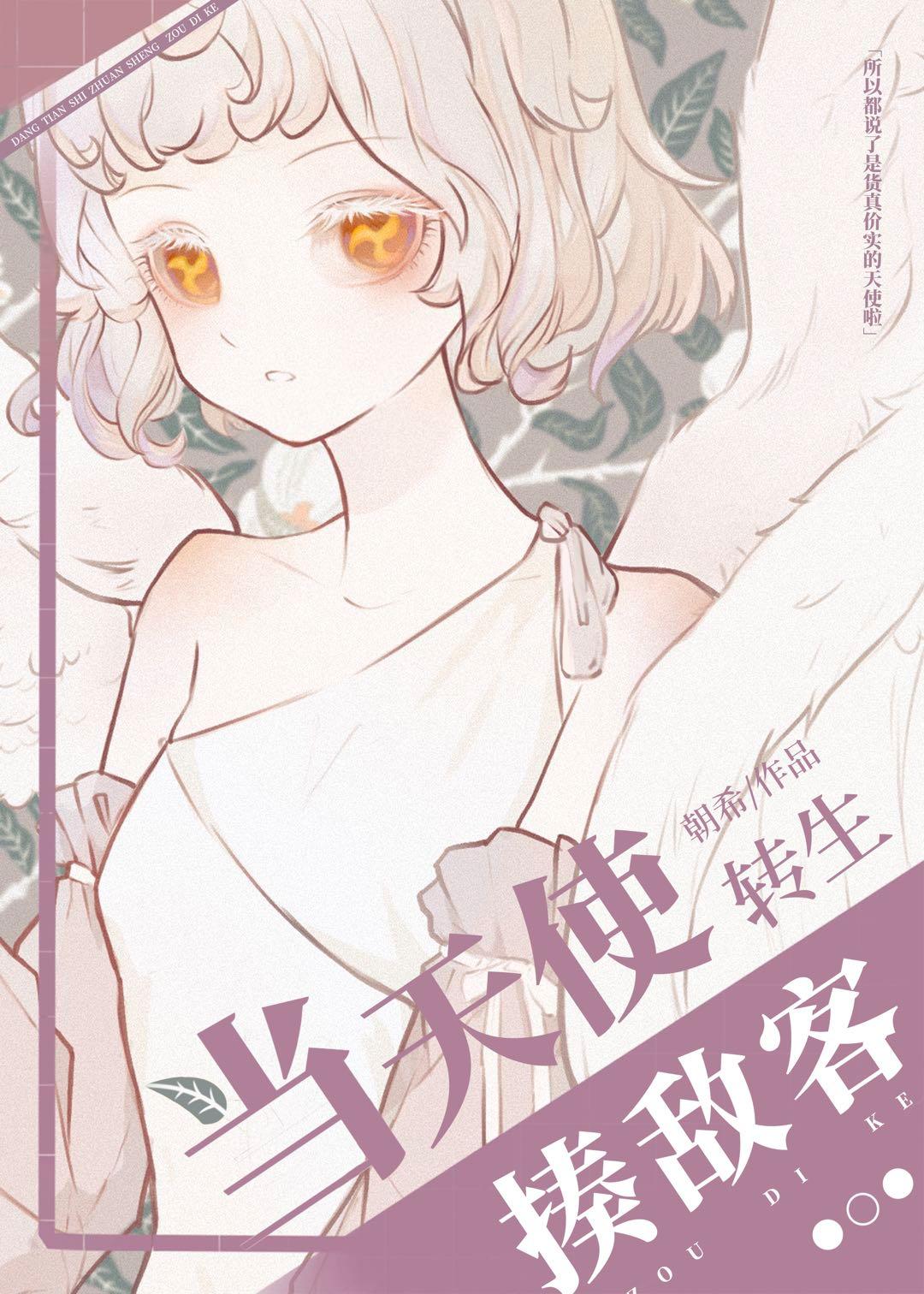 当天使转生揍敌客笔下文学封面