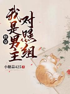 快穿：我是男主对照组封面