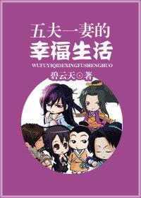 一夫三妻封面
