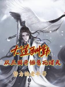 大道酬勤：从三国开始卷死诸天封面