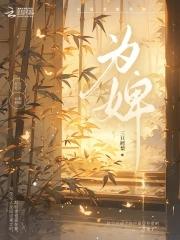 为婢封面