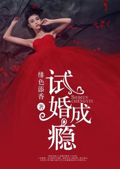 试婚成瘾:总裁老公晚上好封面