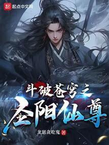 斗破苍穹之圣阳仙尊封面
