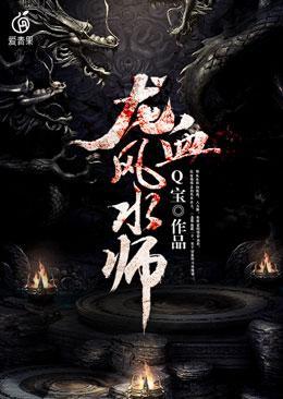 龙血风水师封面