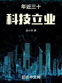 年近三十，科技立业封面