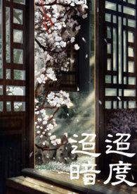 迢迢暗度封面