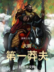 大明第一莽夫封面