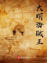 大明海贼王封面