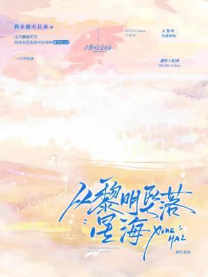 从黎明坠落星海封面