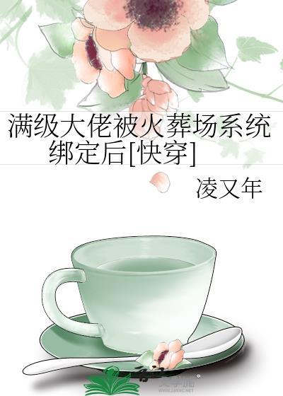 满级大佬被火葬场系统绑定后[快穿]封面