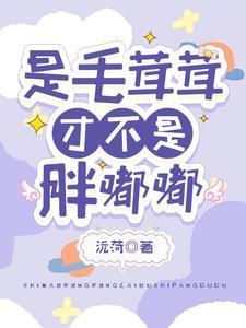 是毛绒绒,才不是胖嘟嘟封面