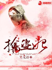 满朝文武擒盗妃封面